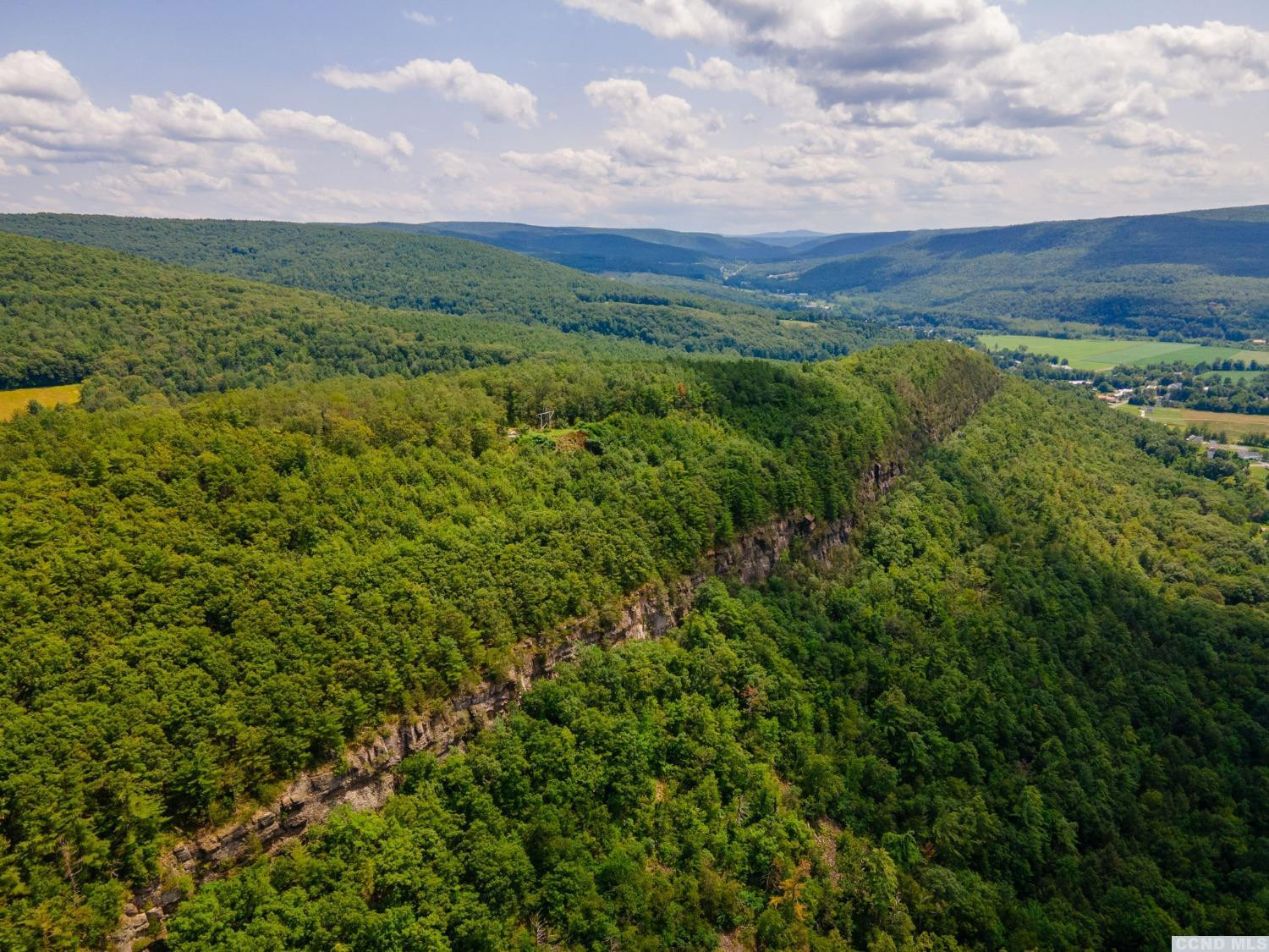 0 - L16 Mt Path, Middleburgh, New York image 24