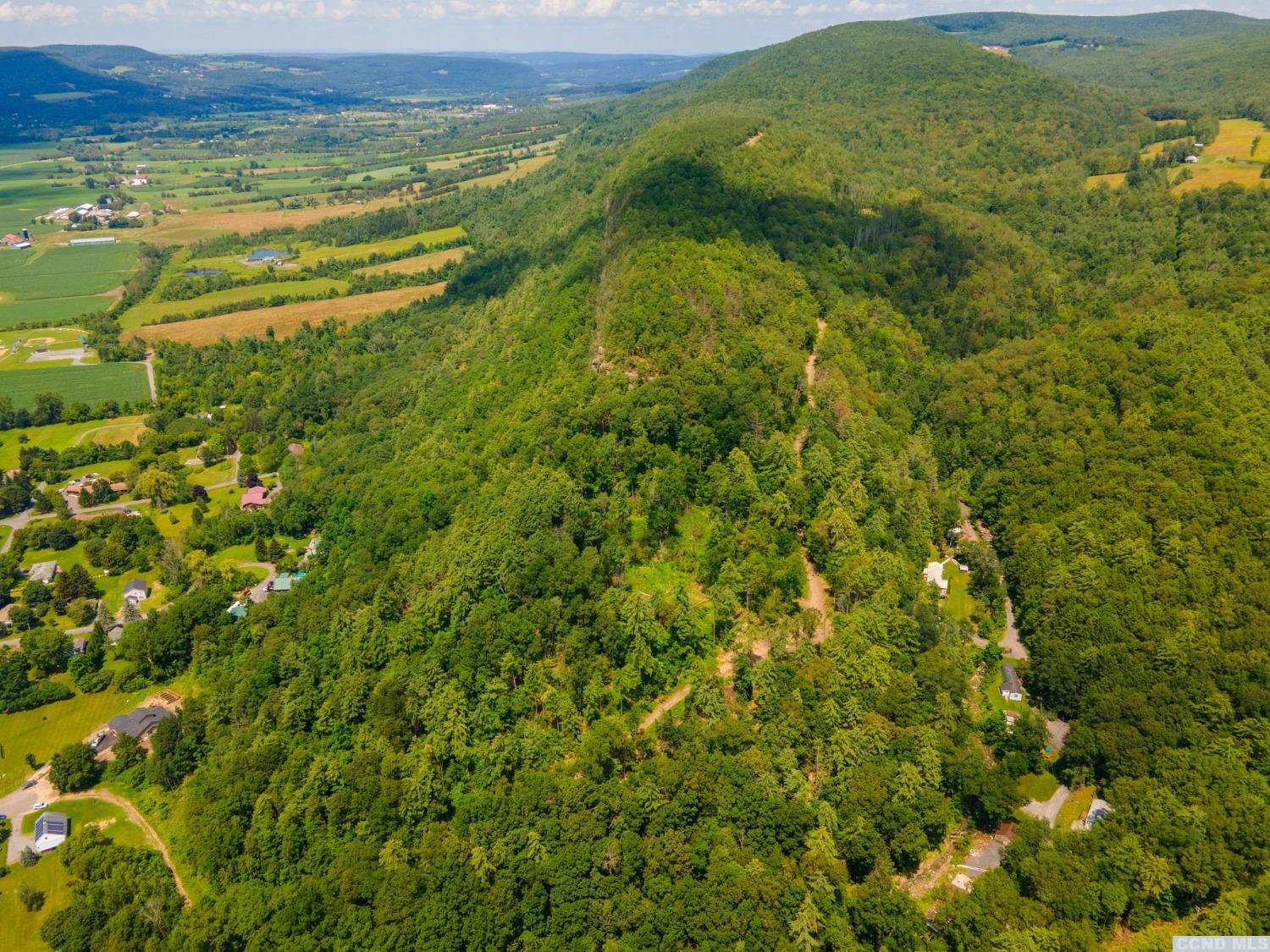 0 - L16 Mt Path, Middleburgh, New York image 14