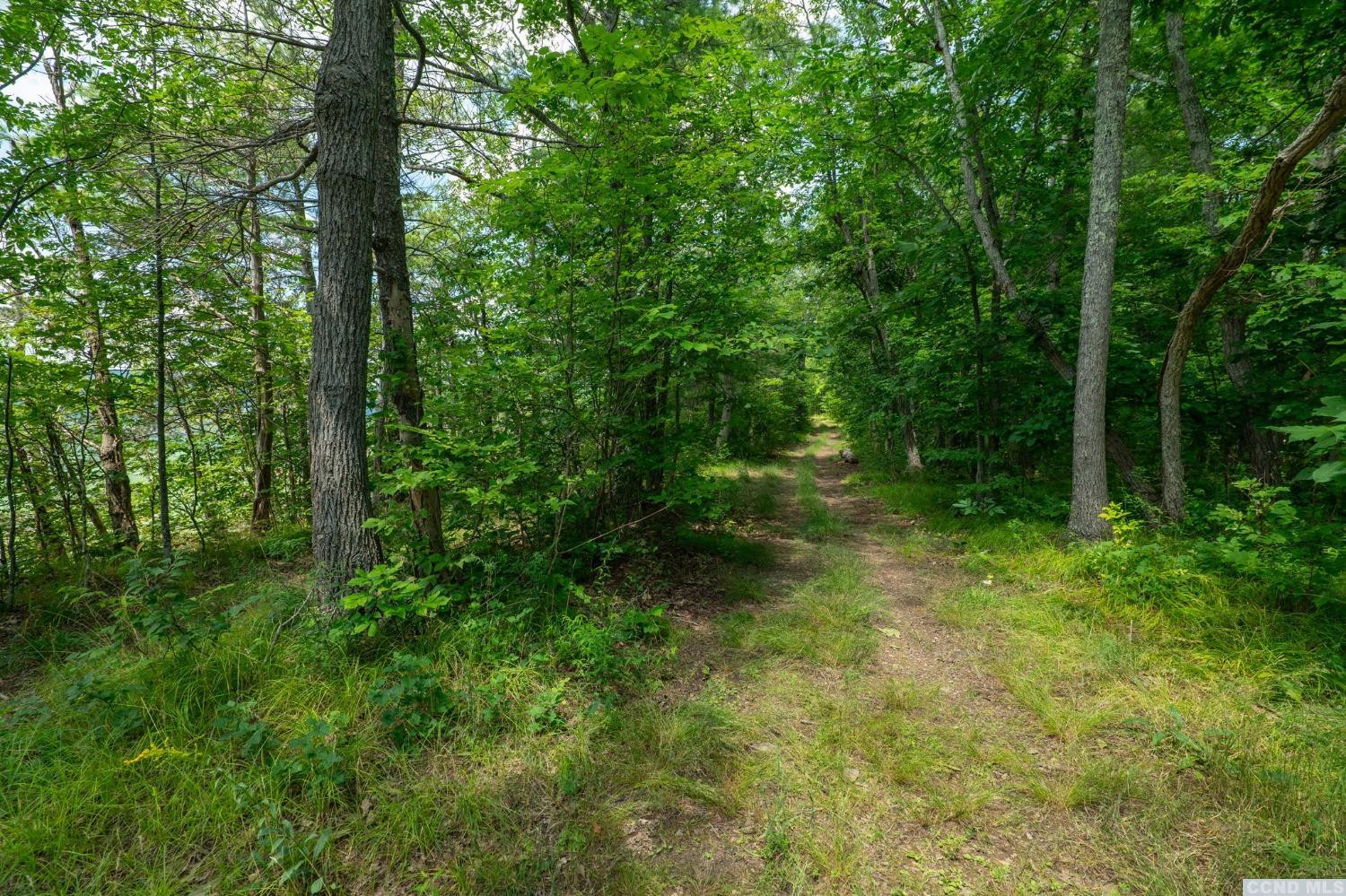 0 - L16 Mt Path, Middleburgh, New York image 6