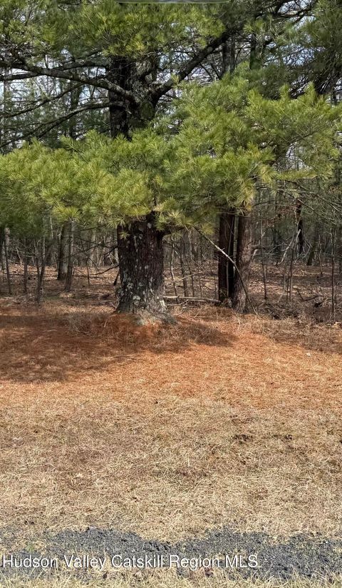 Vacant Land For Sale - County Rt 312<br/> Coeymans, NY 12045