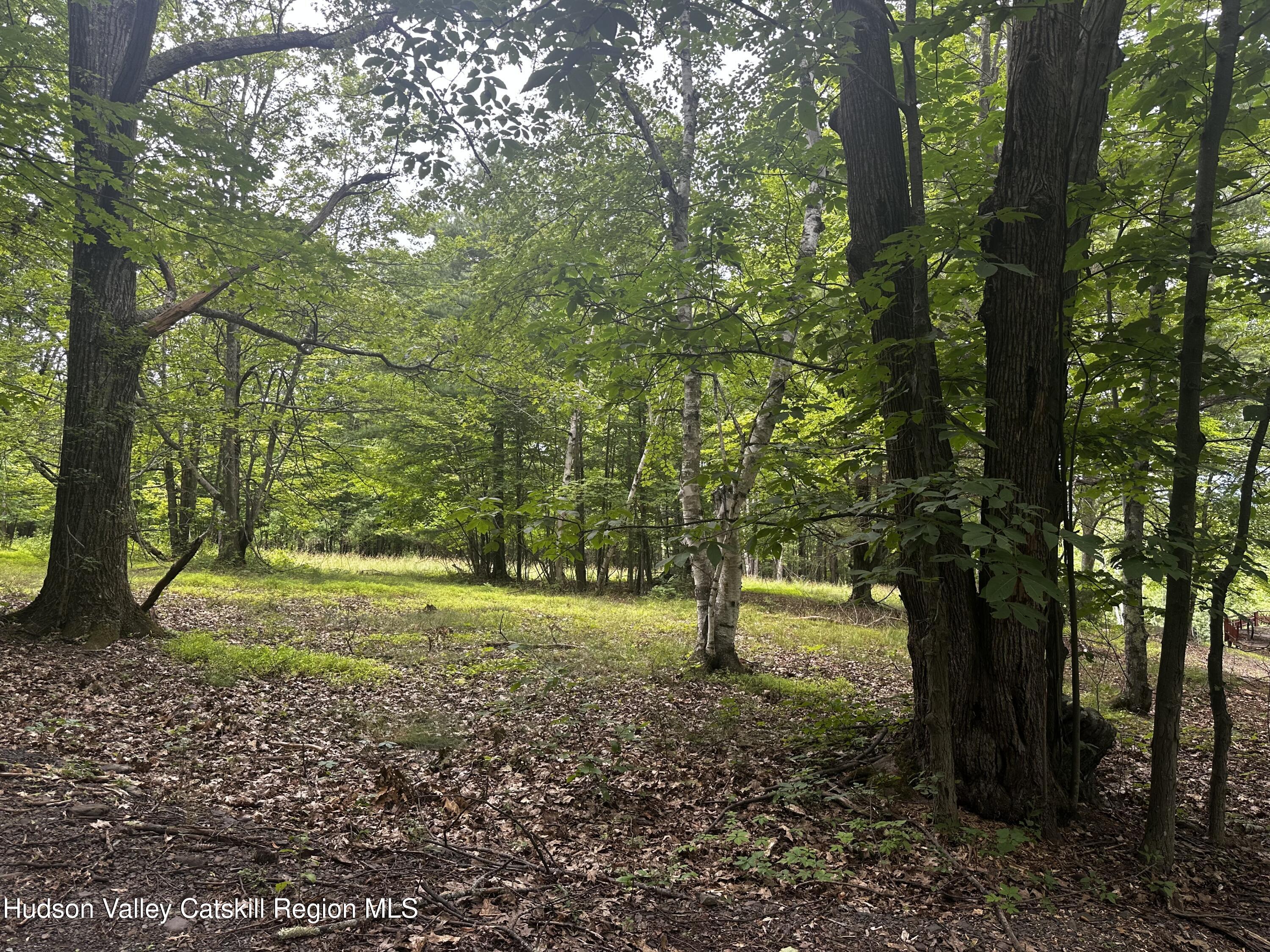 82 Hervey Street Road, Cornwallville, New York -  - 