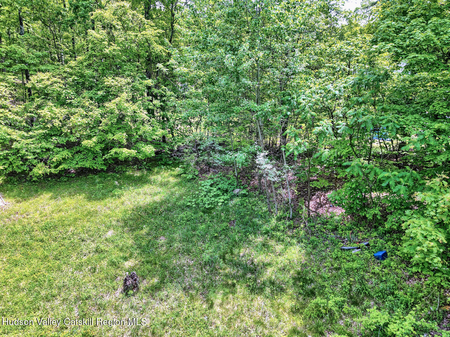 268 Potic Mountain Road, Catskill, New York image 20