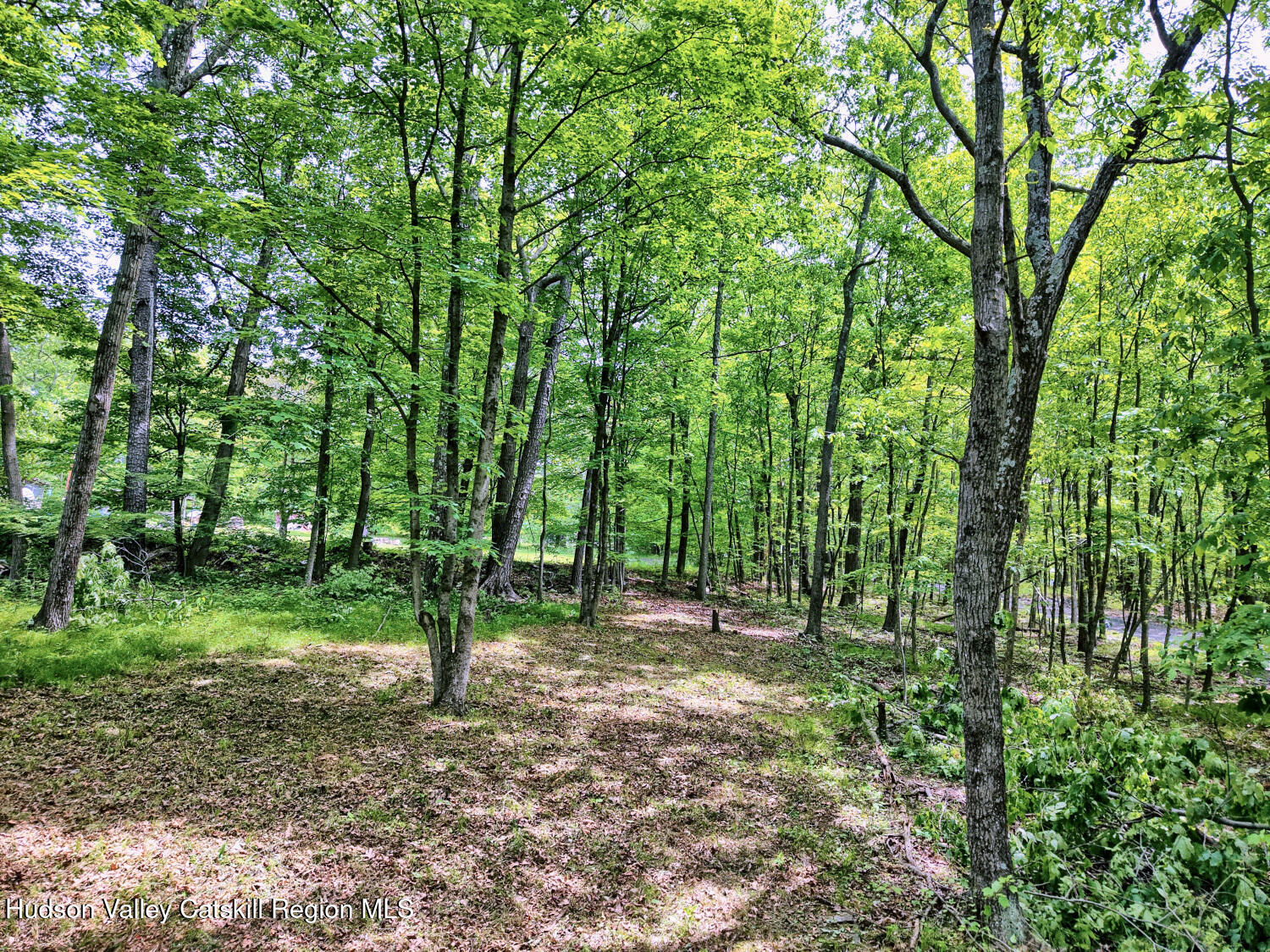 268 Potic Mountain Road, Catskill, New York image 12
