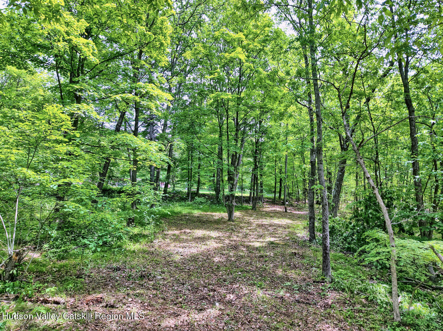 268 Potic Mountain Road, Catskill, New York image 11
