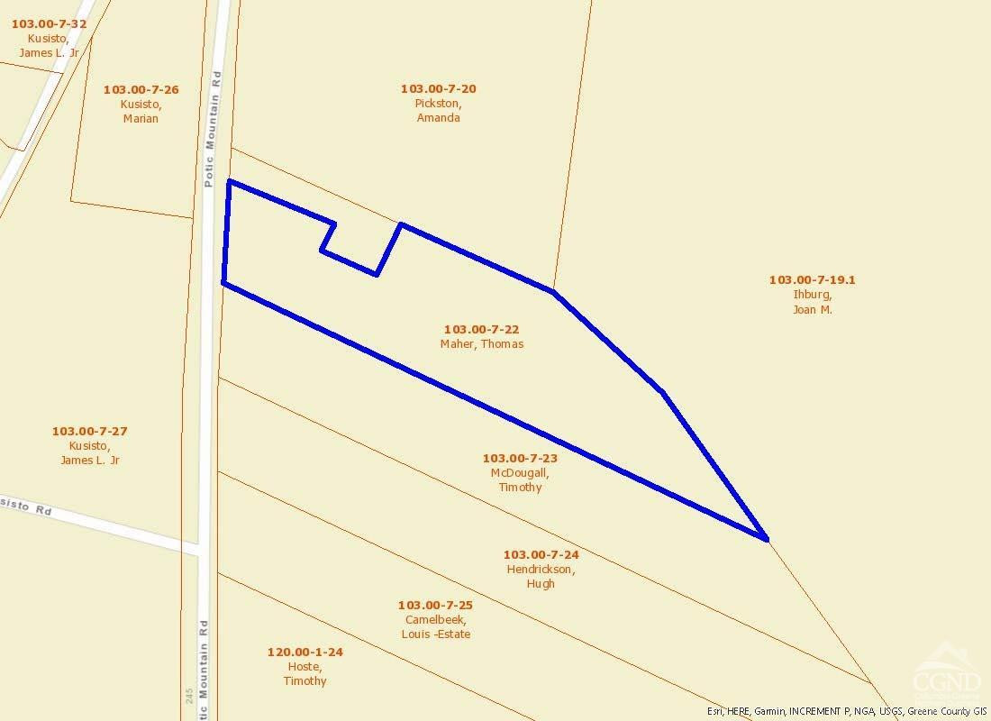 268 Potic Mountain Road, Catskill, New York image 4