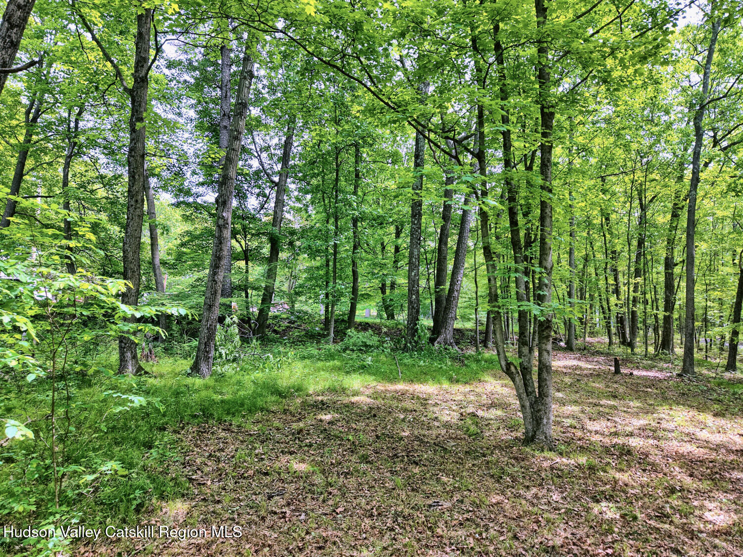 268 Potic Mountain Road, Catskill, New York image 13