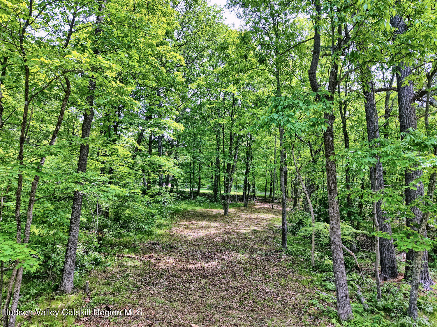 268 Potic Mountain Road, Catskill, New York image 10