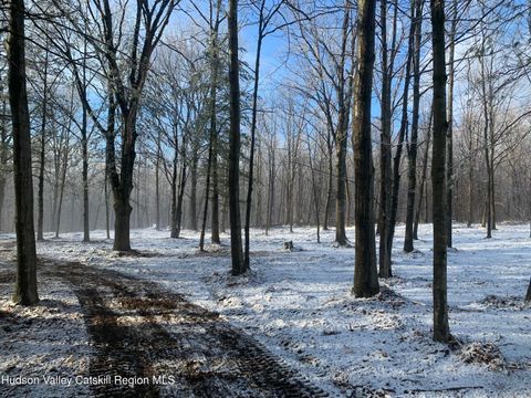 Vacant Land For Sale - Harroway Road<br/> Richmondville, NY 12149