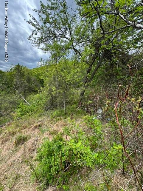 Homes For Sale - 670 Vedder Mountain Road<br/> Catskill, NY 12414