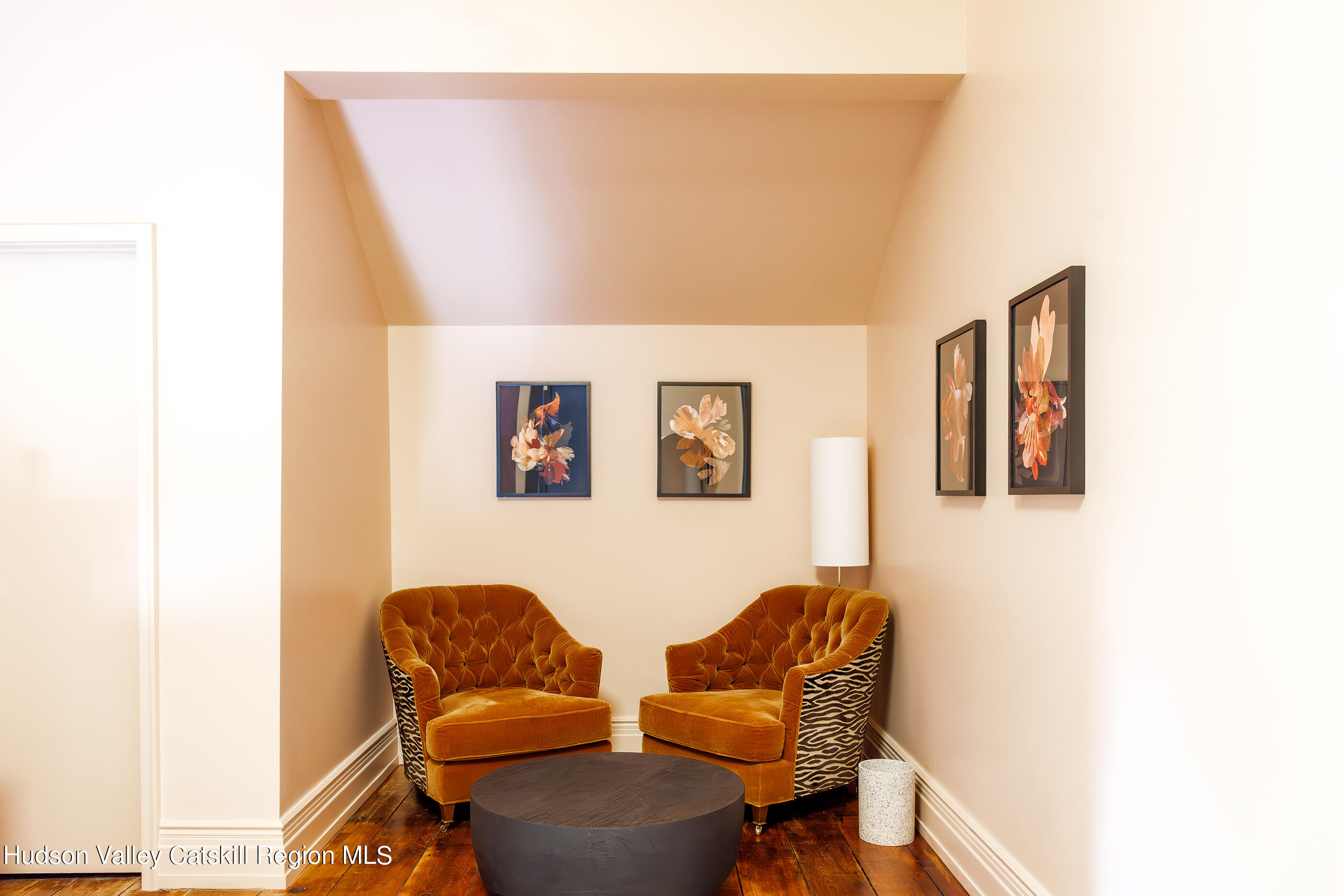 3050 Route 209, Kingston, New Mexico image 20