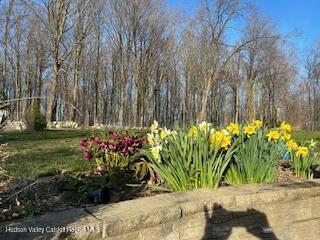 New Paltz, New York 12561, United States, 3 Bedrooms Bedrooms, ,2 BathroomsBathrooms,Residential,Active,159615