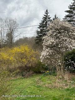 New Paltz, New York 12561, United States, 3 Bedrooms Bedrooms, ,2 BathroomsBathrooms,Residential,Active,159615