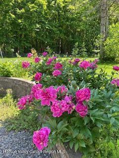 New Paltz, New York 12561, United States, 3 Bedrooms Bedrooms, ,2 BathroomsBathrooms,Residential,Active,159615