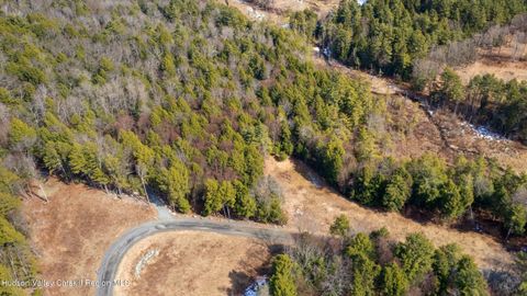 Vacant Land For Sale - 13191 Route 22 Stop #80<br/> Canaan, NY 12029