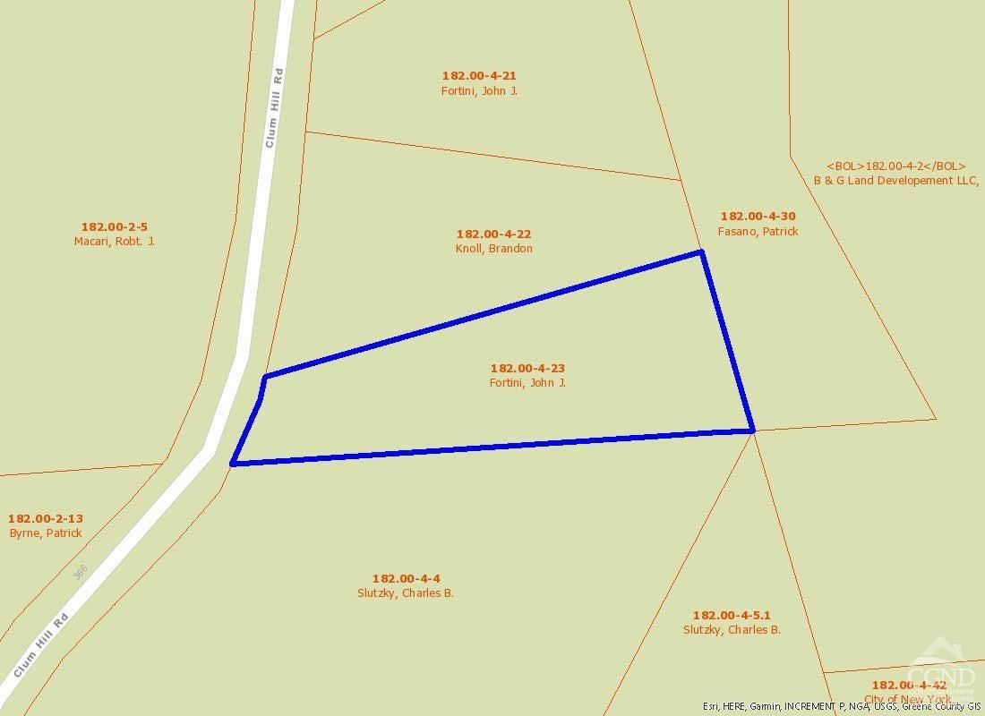 419 Clum Hill Road, Hunter, New York image 5
