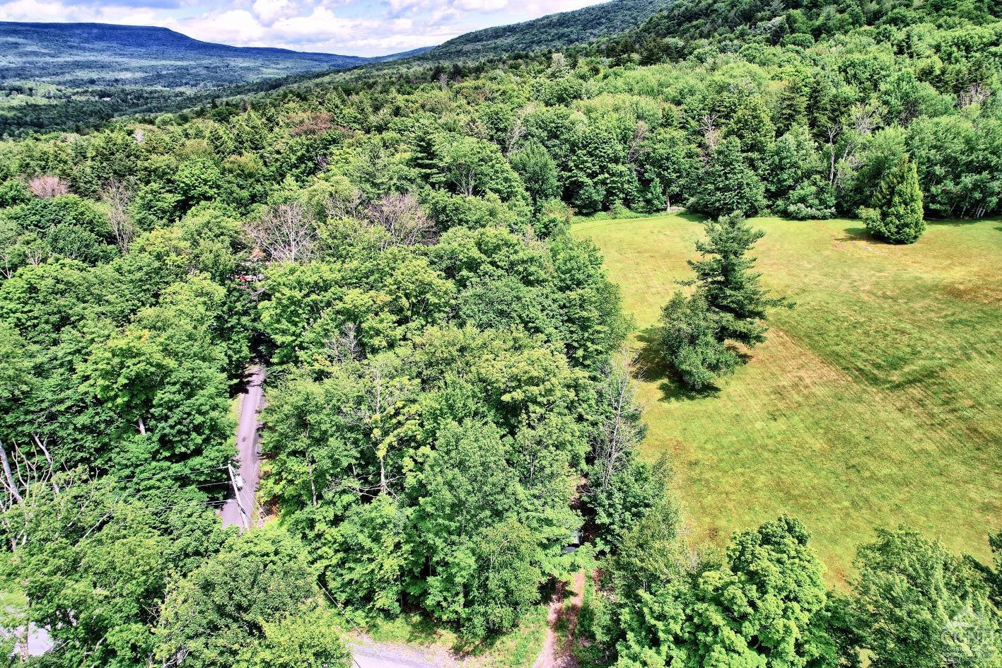 419 Clum Hill Road, Hunter, New York image 2