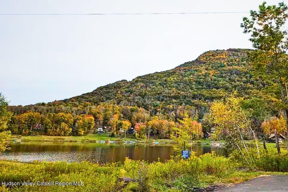 Hunter, New York 12442, United States, 3 Bedrooms Bedrooms, ,2 BathroomsBathrooms,Residential,Active,114536