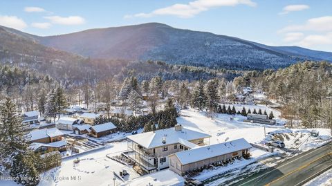 Photo of 2684 Route 296, Hunter, NY 12442 (MLS # 20261178)