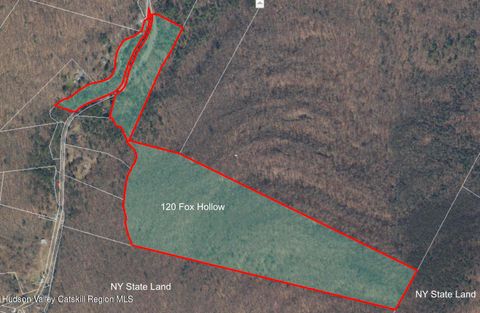 Vacant Land For Sale - 121 Fox Hollow Road<br/> Shandaken, NY 12480