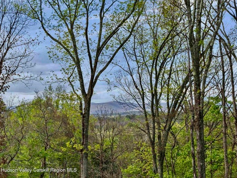 Vacant Land For Sale - TBD Route 44/55<br/> Ulster County, Kerhonkson, NY 12446
