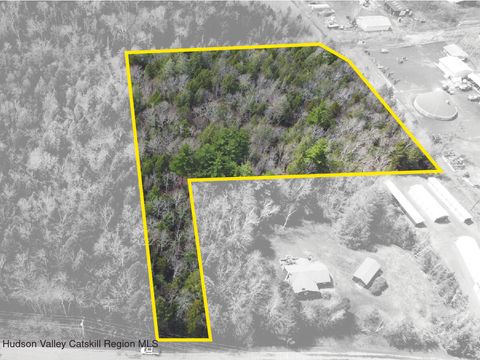 Vacant Land For Sale - 00 Clum Hill Road<br/> Greene County, Haines Falls, NY 12436
