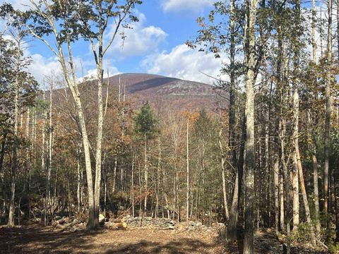 Vacant Land For Sale - 86 Goat Hill Road<br/> Ulster County, Saugerties, NY 12477