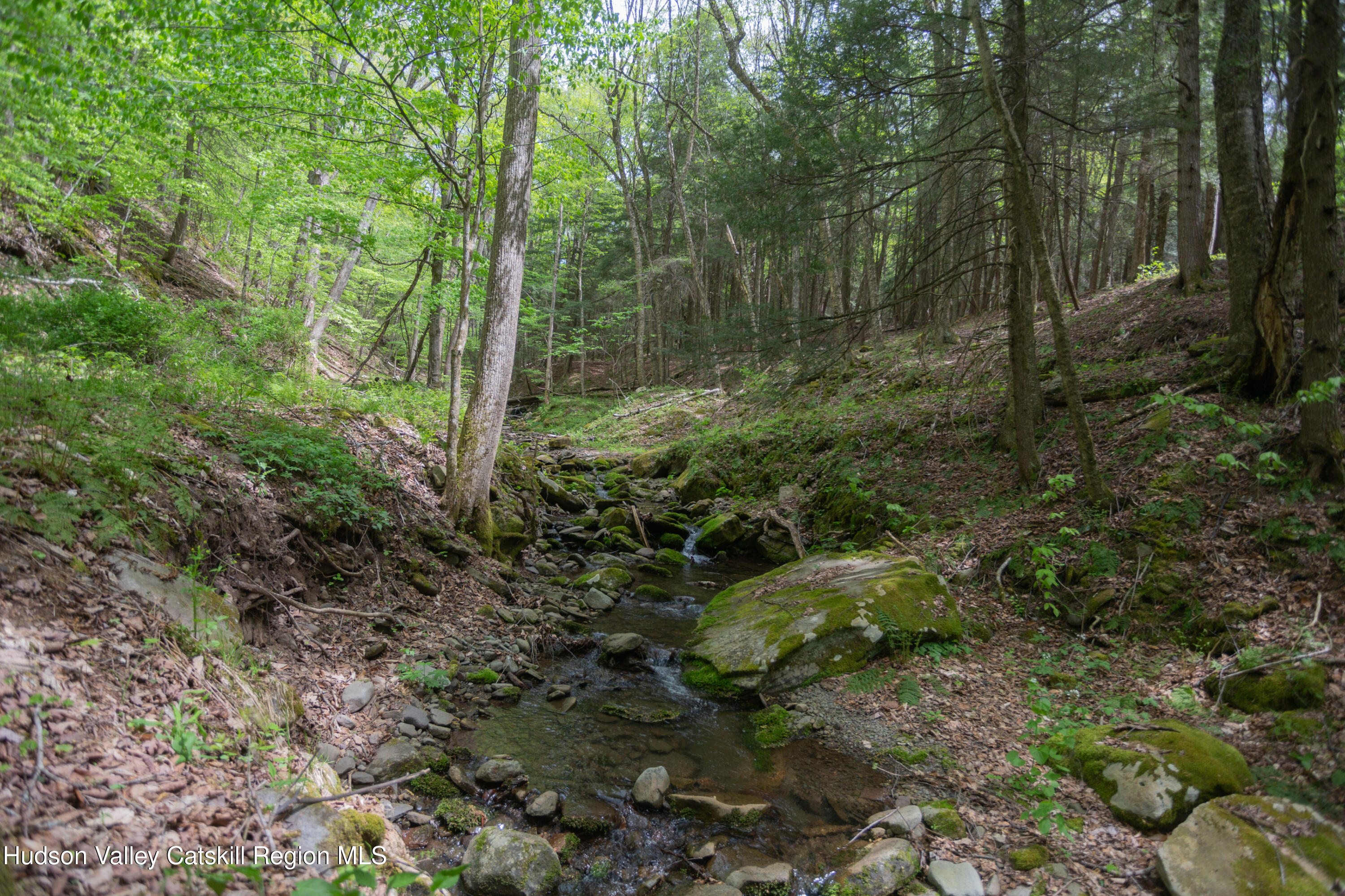 12-14 Armstrong Road, Hardenburgh, Ohio image 49