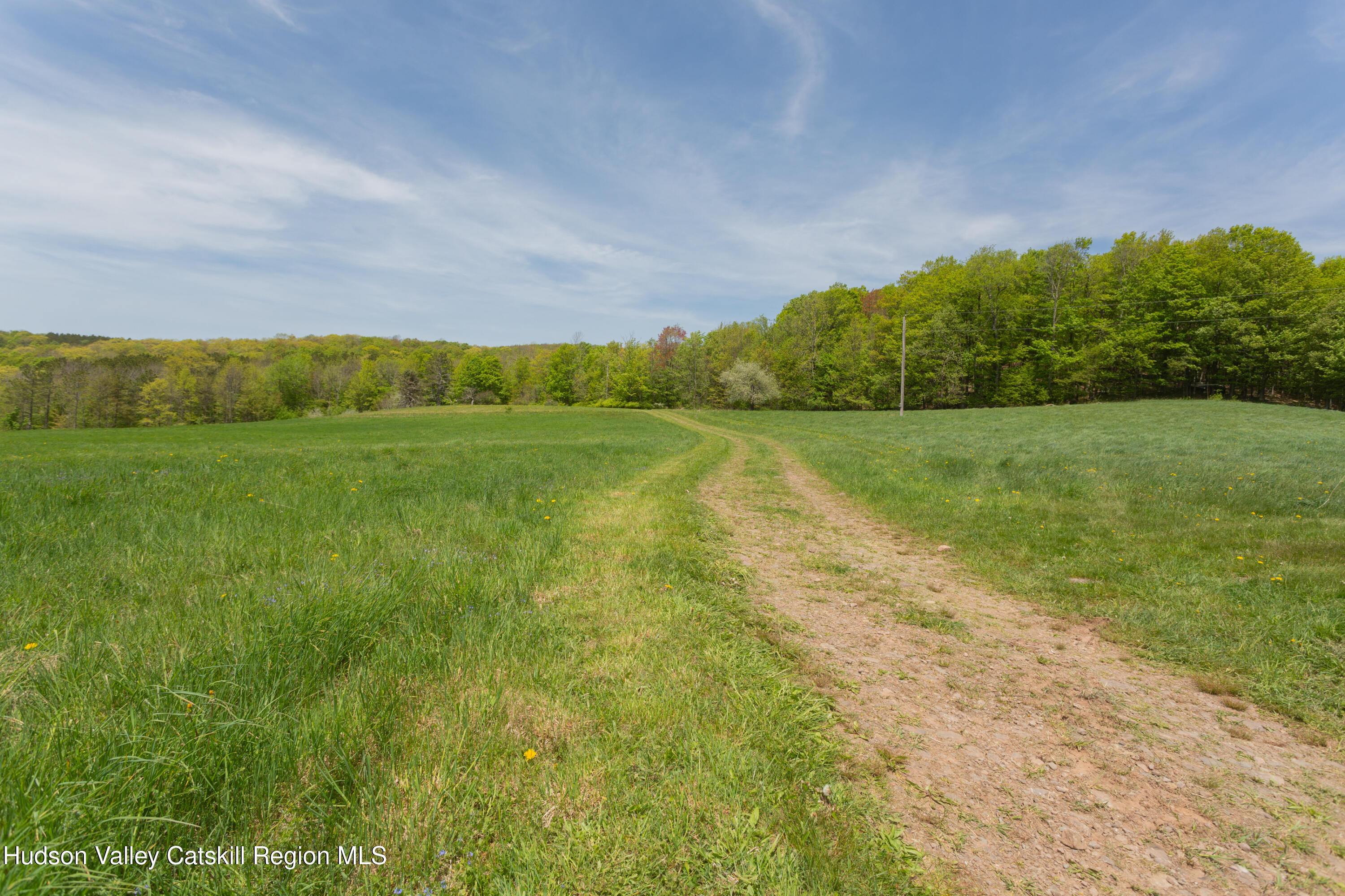 12-14 Armstrong Road, Hardenburgh, Ohio image 44