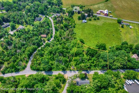 Vacant Land For Sale - 45 Randy Road<br/> Athens, NY 12015