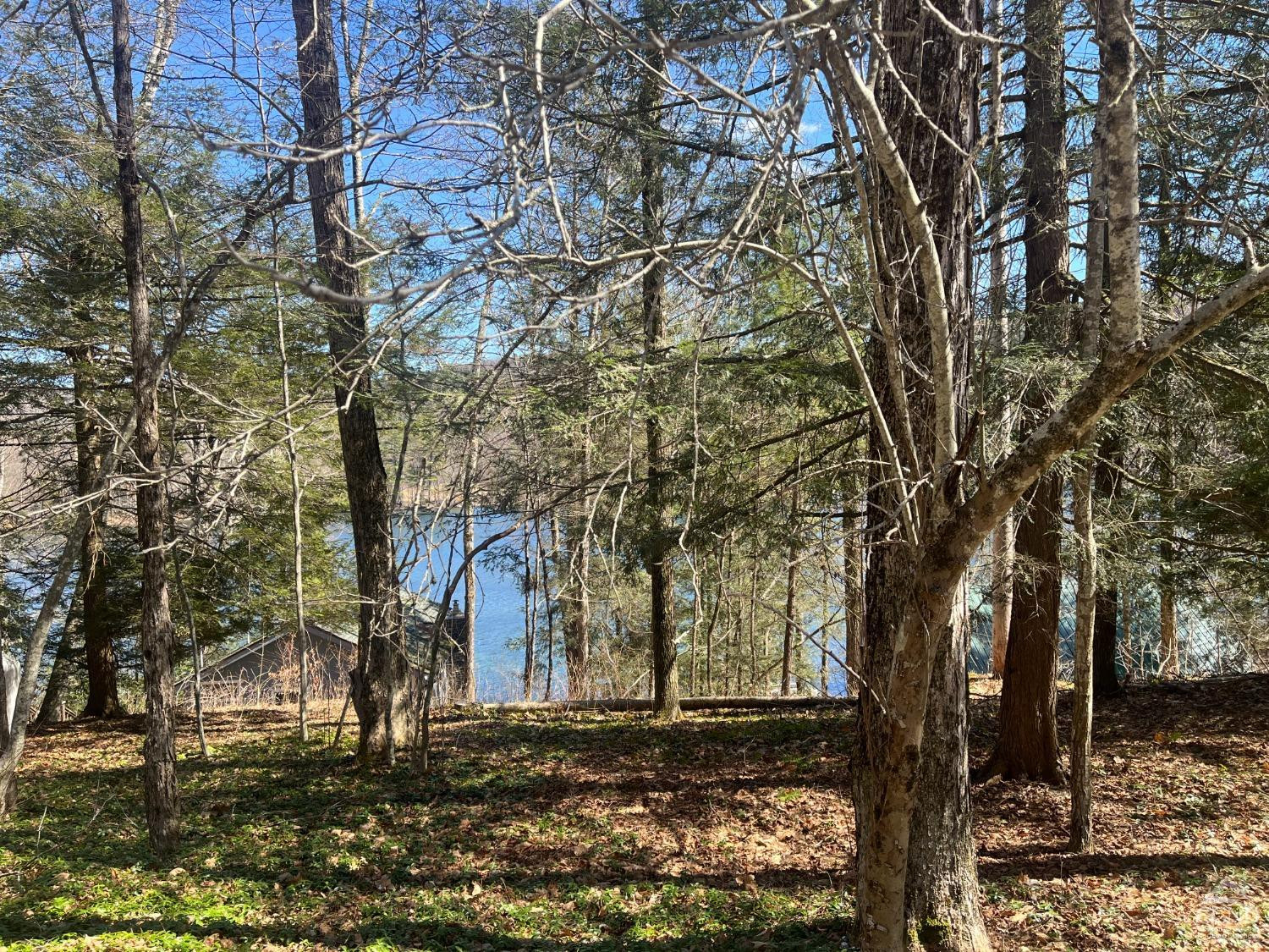 105 Mcnamee Rd, Canaan, New York image 9