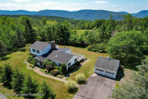 Homes For Sale - 5999 Route 23c<br/> Lexington, NY 12452