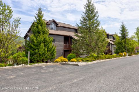 Photo of 73 Liftside Drive #B1, Hunter, NY 12442 (MLS # 20255747)