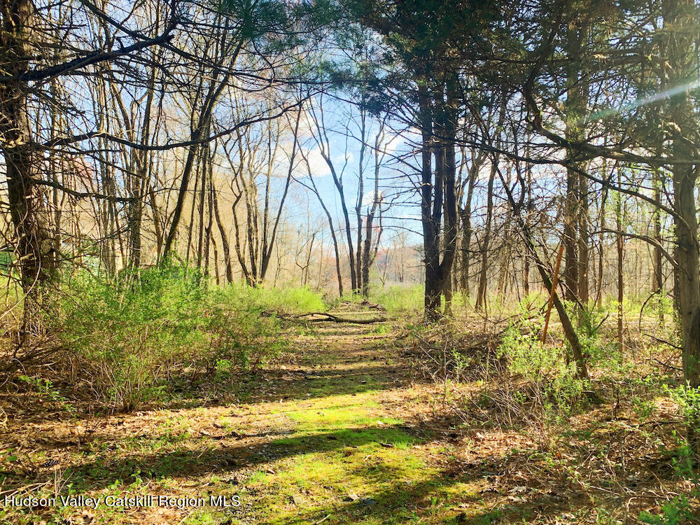 00 Sepasco Lake Road, Rhinebeck, New York image 6