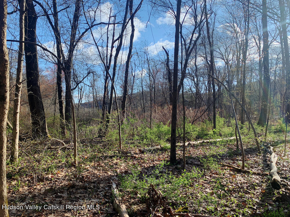 00 Sepasco Lake Road, Rhinebeck, New York image 10