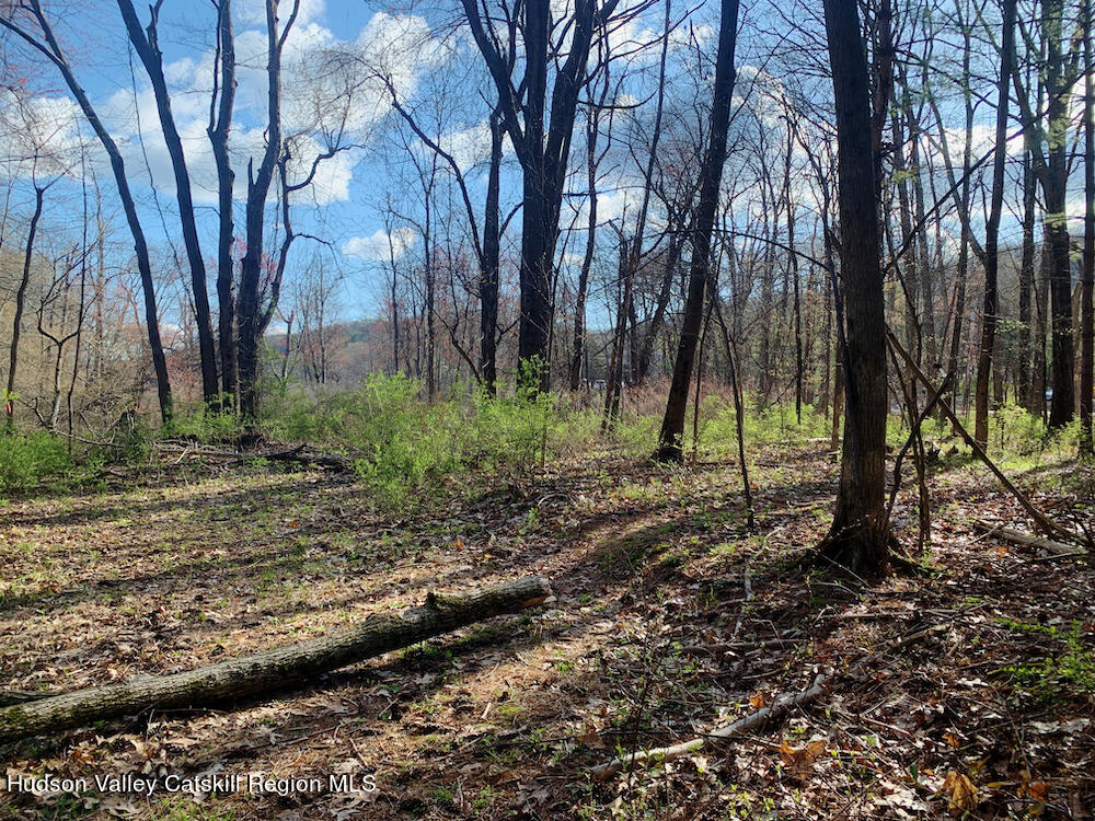 00 Sepasco Lake Road, Rhinebeck, New York image 9
