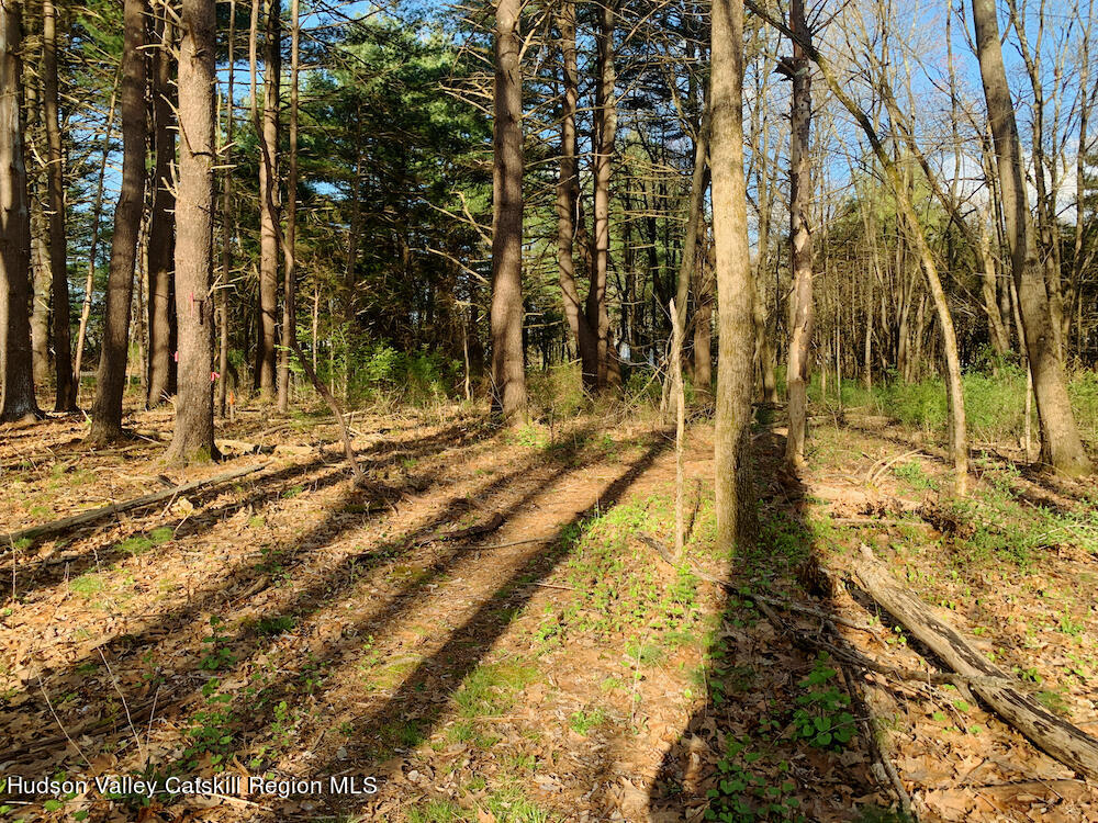 00 Sepasco Lake Road, Rhinebeck, New York image 7