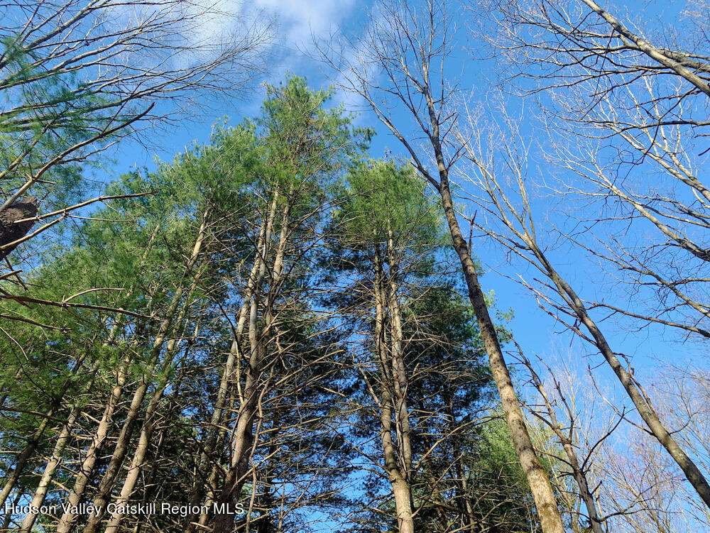 00 Sepasco Lake Road, Rhinebeck, New York image 8