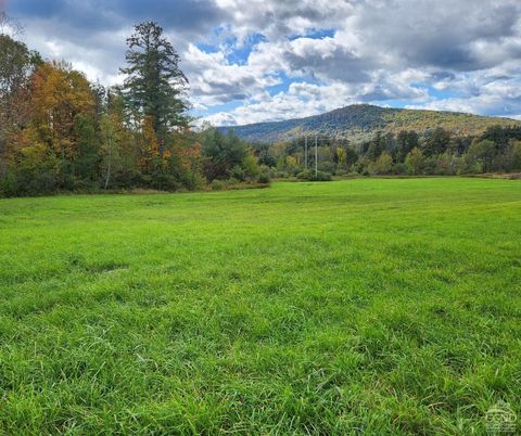 Vacant Land For Sale - County Route 9<br/> New Lebanon, NY 12125