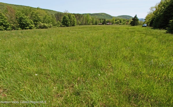 1 JOHN SHULTIS RD, DENVER, NY 12421 - Image 9da19fff51c47e5b3f1c38e01ea1db5c/1021232195