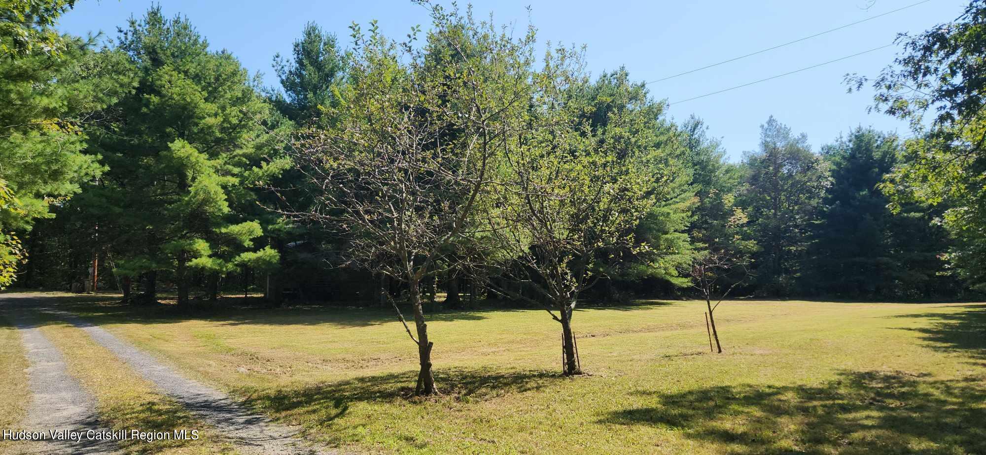 374 N Ridge Road, Hannacroix, New York image 20
