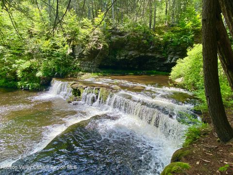 Homes For Sale - 281 Dewitt Road<br/> Olivebridge, NY 12461