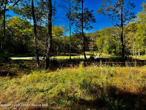 Vacant Land For Sale - 86 Falling Waters Drive<br/> Palenville, NY 12463