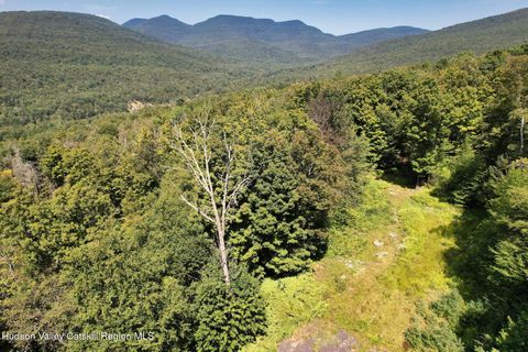 Vacant Land For Sale - TBD Macdaniel Rd<br/> Bearsville, NY 12409