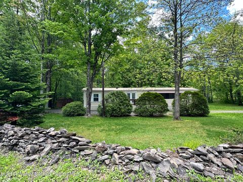 Mobile Home For Sale - 147 Nelson Hoff Road<br/> Saugerties, NY 12477
