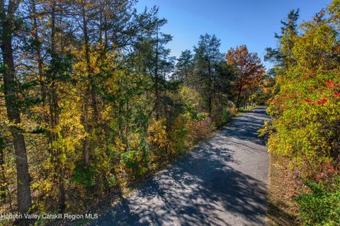 Vacant Land For Sale - 21 Fairy Court<br/> Greene County, Athens, NY 12015