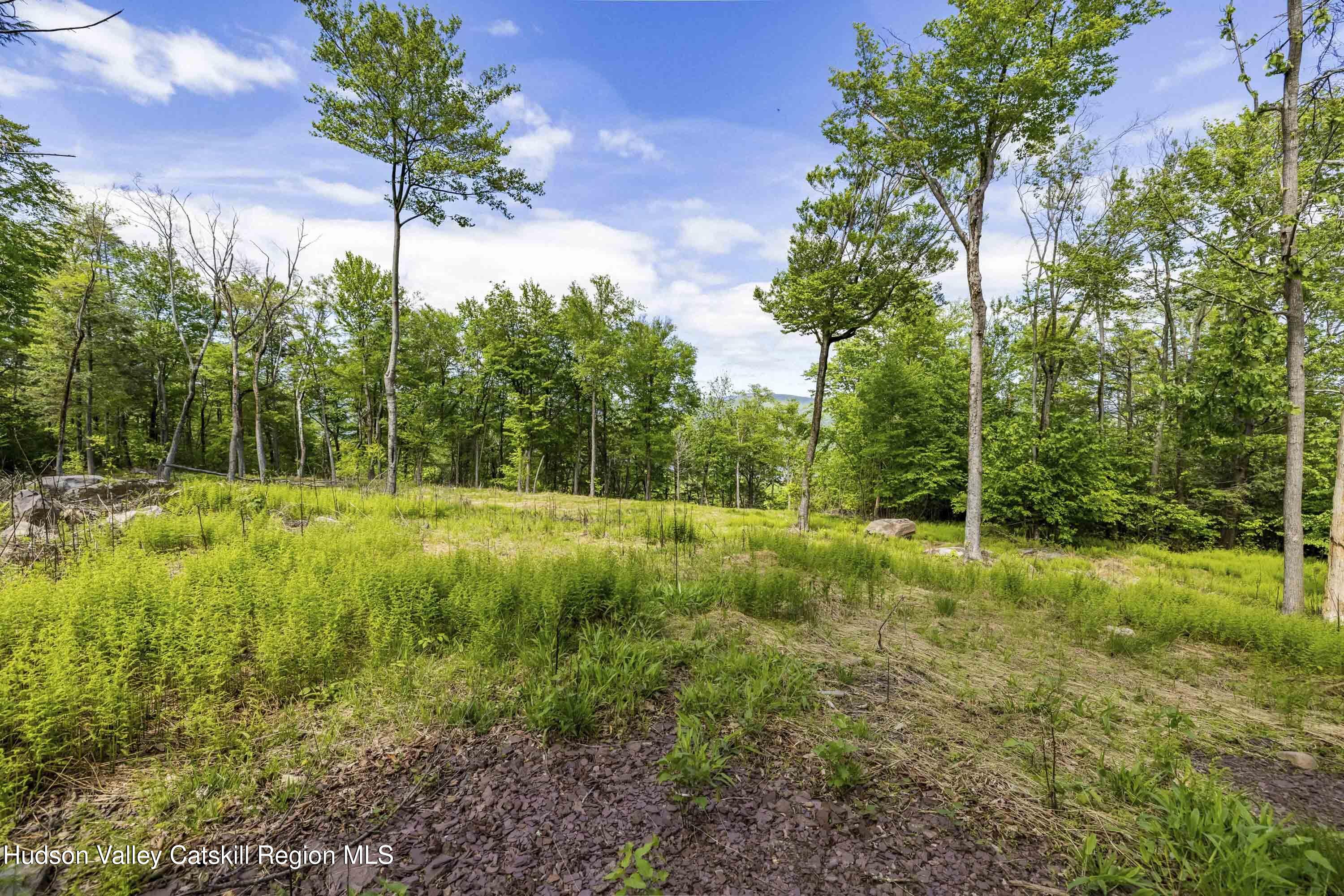 3 SW Red Rock Road, Wawarsing, New Mexico image 8