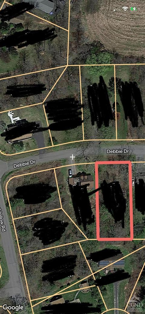 Vacant Land For Sale - 157 Debbie Drive<br/> Greene County, Athens, NY 12015
