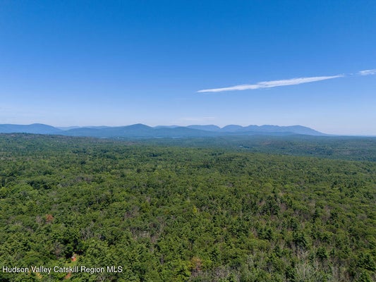 TBD PEAK ROAD, STONE RIDGE, NY 12484 - Image a5fee888e8dfca4b33d2df7410a9f9ee/3767633958