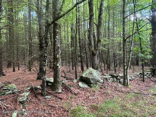 CANGIANO DR, PRATTSVILLE, NY 12468 - Image a700aaecadfcff5ee11fe1c60af0c211/4291934088