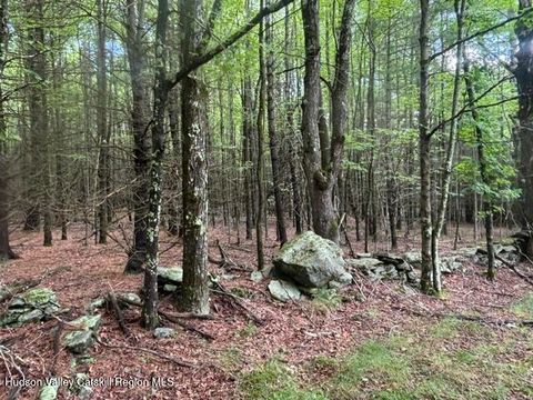 Vacant Land For Sale - Cangiano Drive<br/> Greene County, Prattsville, NY 12468